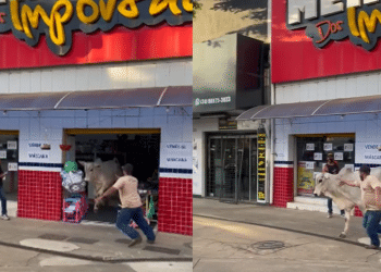 Bezerro invade loja de importados no centro de Araxá; veja vídeo