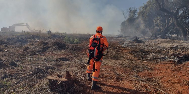 Bombeiros combatem incêndio no bairro Camuá