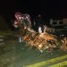 Homem morre em grave acidente na MG 428 Araxá / Franca