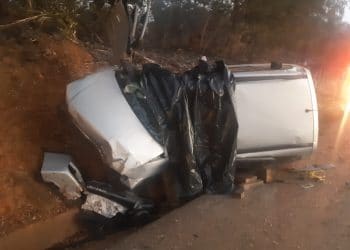 Homem morre após queda de árvore na BR 262