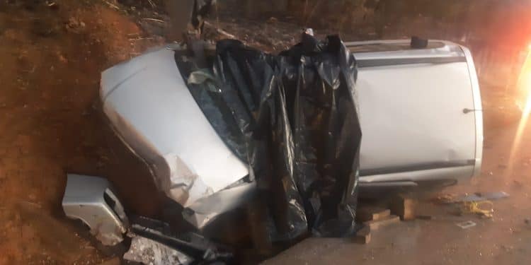 Homem morre após queda de árvore na BR 262
