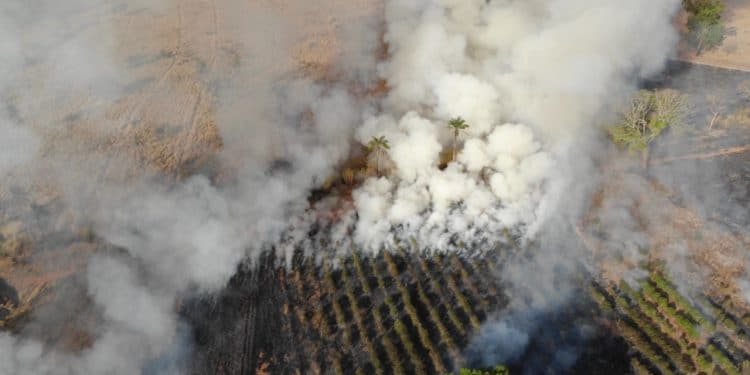 Mata pega fogo no final da Terência Pereira em Araxá
