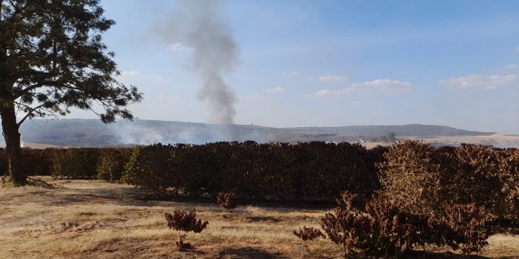 Bombeiros combatem incêndio florestal em Araxá