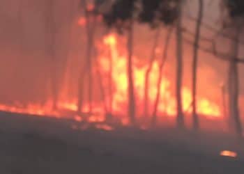 Corpo de Bombeiros registram 5 incêndios em um único plantão – veja vídeo