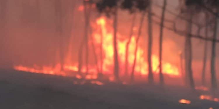 Corpo de Bombeiros registram 5 incêndios em um único plantão – veja vídeo