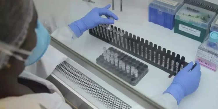 Com 11 casos, Minas dispara alerta para tentar barrar variante Delta