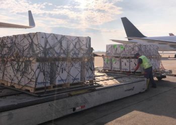 Mais de 3,6 milhões de vacinas da Pfizer chegam ao Brasil