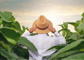 Prefeitura prorroga inscrições para o programa Jovem Produtor