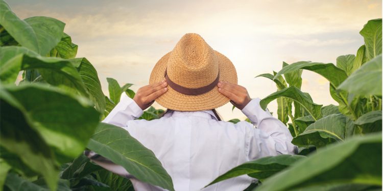 Prefeitura prorroga inscrições para o programa Jovem Produtor