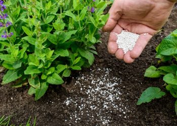 Prefeitura de Araxá abre inscrições para o Projeto Fosfogesso