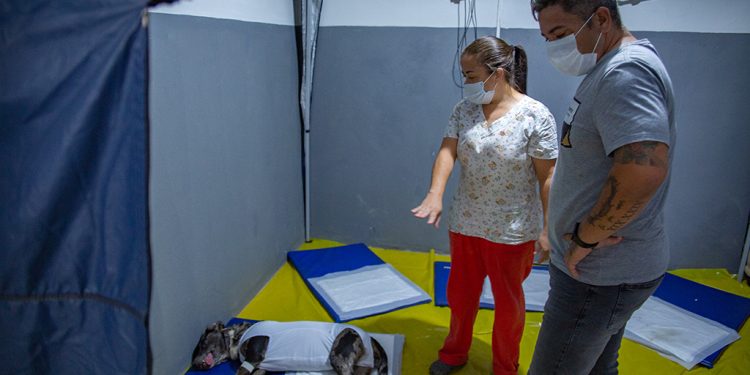 Prefeitura amplia vagas da primeira etapa do projeto “CastraAção”