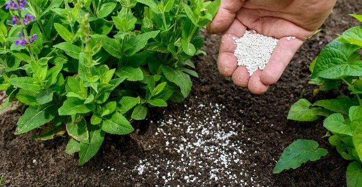 Prefeitura de Araxá inicia distribuição de fosfogesso para fomentar a produção rural