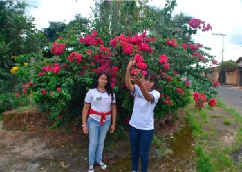 Alunos da Escola Professora Auxiliadora Paiva são finalistas do Concurso Cultural Restaura Natureza; votação popular acontece até 25 de maio