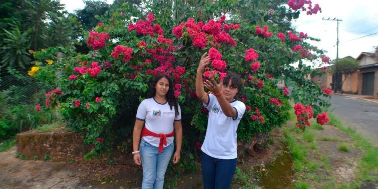 Alunos da Escola Professora Auxiliadora Paiva são finalistas do Concurso Cultural Restaura Natureza; votação popular acontece até 25 de maio