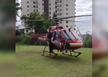 Criança de 6 anos é picada em SC por cobra mais venenosa do país