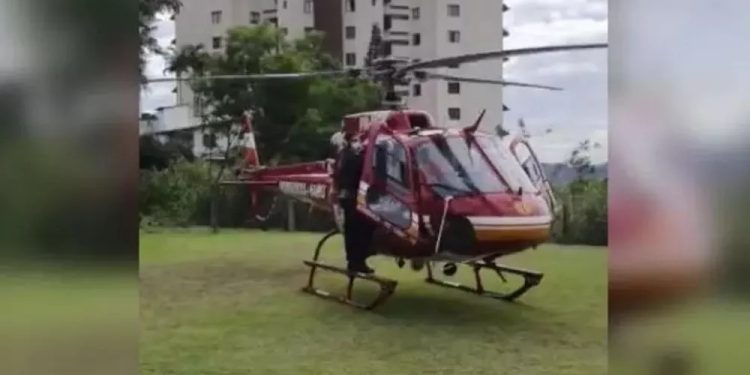 Criança de 6 anos é picada em SC por cobra mais venenosa do país