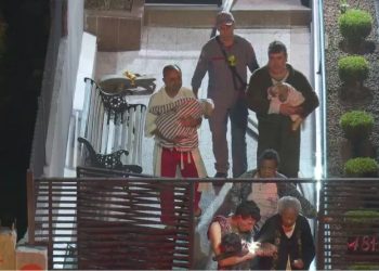 Incêndio atinge apartamento em SP e moradores deixam prédio com animais de estimação nos colos; veja fotos