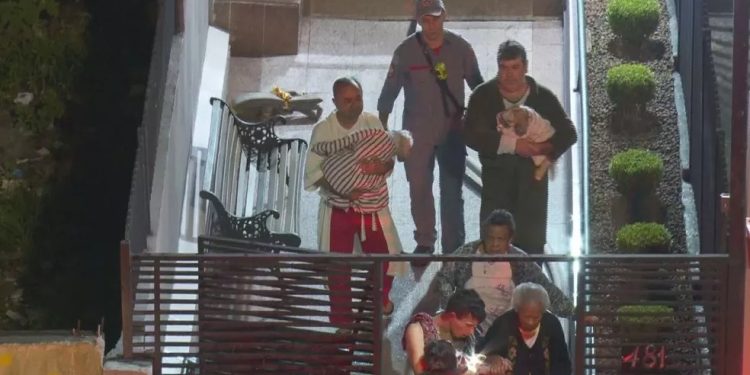 Incêndio atinge apartamento em SP e moradores deixam prédio com animais de estimação nos colos; veja fotos