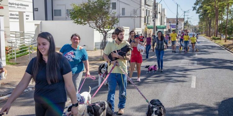 Adoção e cadastro para o projeto CastraAção marcam a 7ª edição da “Cãominhada” em Araxá