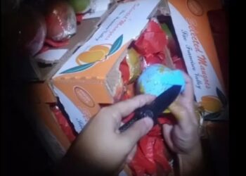 PF e Receita prendem 2 servidores em operação contra corrupção e tráfico de drogas no Porto de Itaguaí