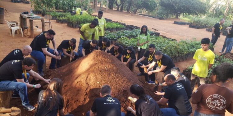 Pequeno Jardineiro promove interação com funcionários da McCain