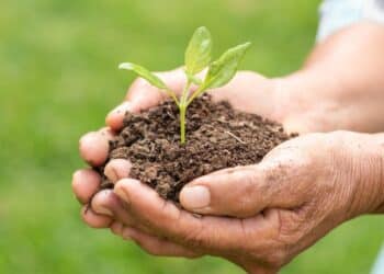 Prefeitura de Araxá abre inscrições para o Projeto Fosfogesso 2023