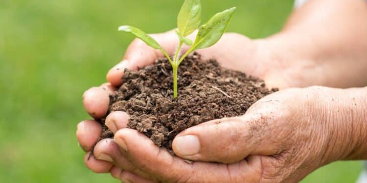 Prefeitura de Araxá abre inscrições para o Projeto Fosfogesso 2023