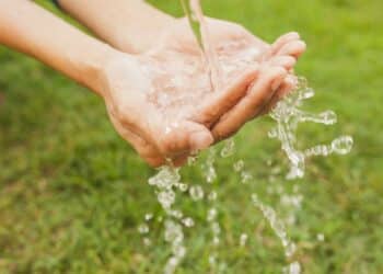 Semana da Água promove mutirão de limpeza e plantio de mudas na Matinha do bairro Francisco Duarte; confira a programação completa