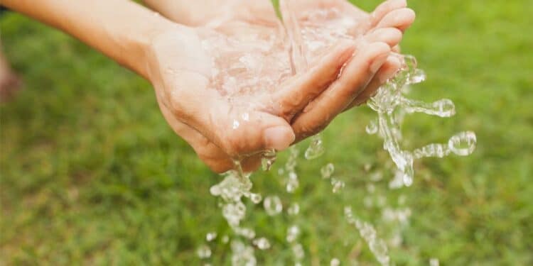 Semana da Água promove mutirão de limpeza e plantio de mudas na Matinha do bairro Francisco Duarte; confira a programação completa