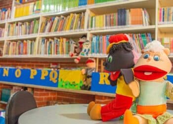 Secretaria de Educação seleciona estudantes de Pedagogia e pedagogos voluntários para o projeto Tempo de Aprender