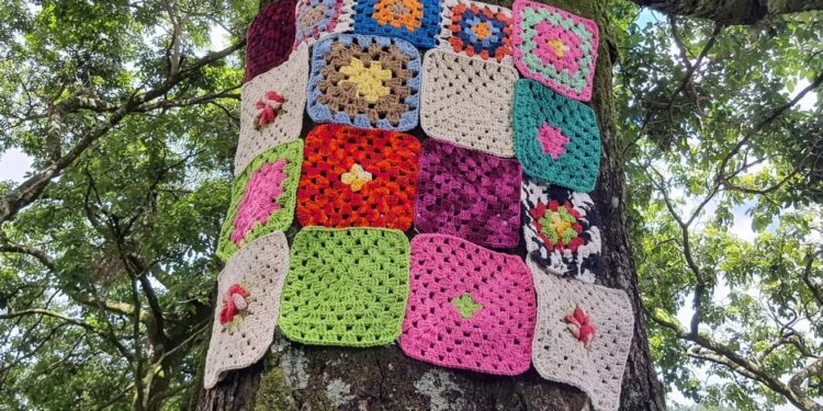Fundação Cultural Calmon Barreto lança o projeto Acolhendo Árvores