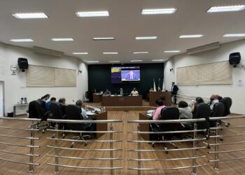 Vereadores aprovam destinação de verba para a Associação de Equoterapia Prosseguir