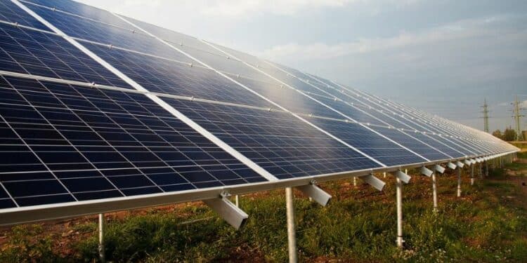 Parceria Ludfor e Lemon com usinas solares em MG poderá atender até 1,2 mil consumidores em 2023