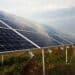 Parceria Ludfor e Lemon com usinas solares em MG poderá atender até 1,2 mil consumidores em 2023