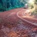 Prefeitura de Araxá realiza melhorias nas estradas e pontes da Zona Rural