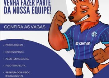 Dínamo abre vagas de emprego para psicólogo, nutricionista, assistente social, fisioterapeuta e preparador físico