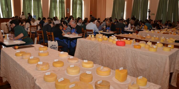 Principal Concurso Internacional de Queijos do Brasil abre inscrições para produtores de todo o mundo