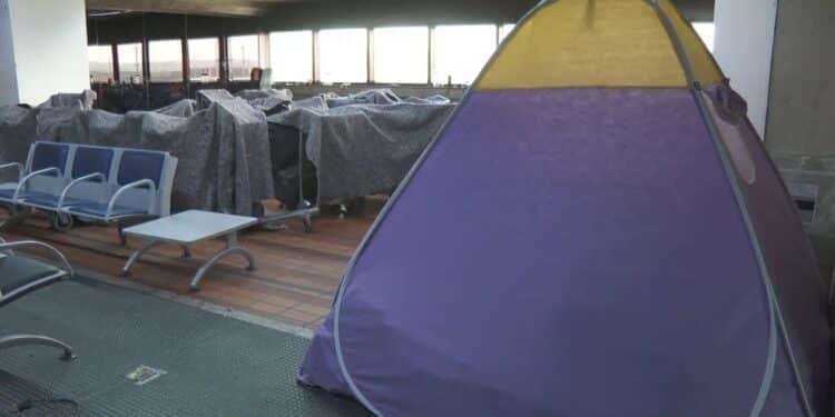 Com mais de 100 afegãos no aeroporto, Prefeitura de Guarulhos diz que espera governo federal analisar pedido para ser ‘cidade de fronteira’; entenda