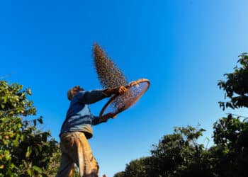 Fecomércio / Divulgação