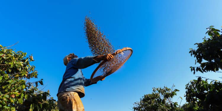 Fecomércio / Divulgação