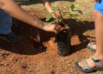 Prefeitura de Araxá / Divulgação