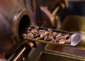 Ascom Torrando Ideias / Divulgação