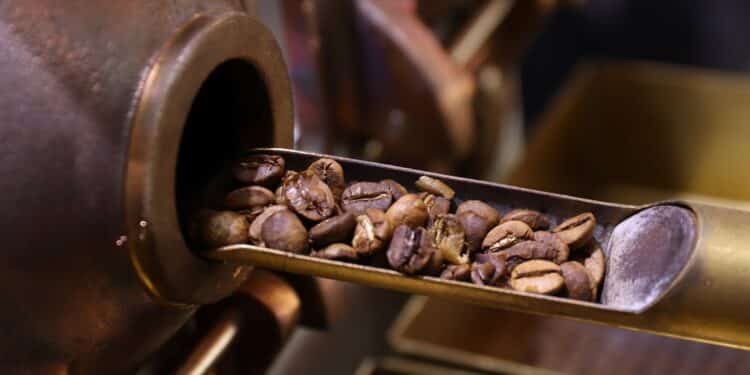 Ascom Torrando Ideias / Divulgação