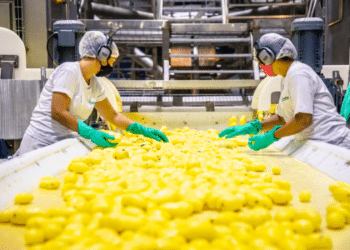 Bem Brasil é reconhecida em 5° lugar na categoria Alimentos e Bebidas no Prêmio Melhores e Maiores da Revista Exame