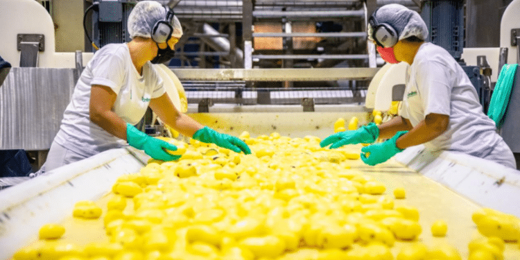 Bem Brasil é reconhecida em 5° lugar na categoria Alimentos e Bebidas no Prêmio Melhores e Maiores da Revista Exame