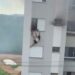 Patos de Minas: avós pulam de prédio após neta trancá-los em apartamento e colocar fogo