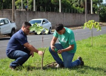 IPDSA e Casa do Pequeno Jardineiro realizam plantio de 60 árvores na avenida João Moreira Salles