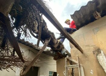 Coqueiro de 20 metros cai e atinge três residências no bairro Novo Horizonte