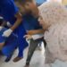 Enfermeira se desespera ao ver filha dando entrada ferida em hospital de Gaza