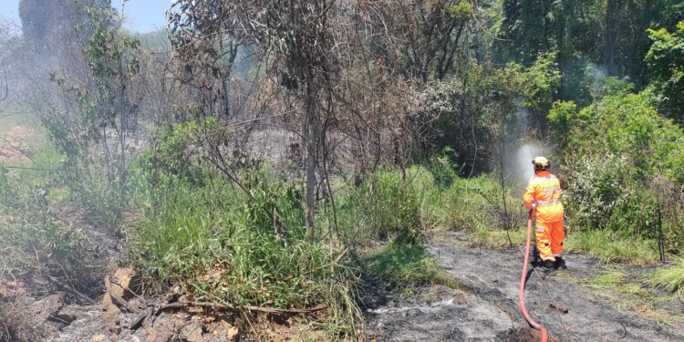 Bombeiros combatem incêndio no bairro Veredas em Araxá